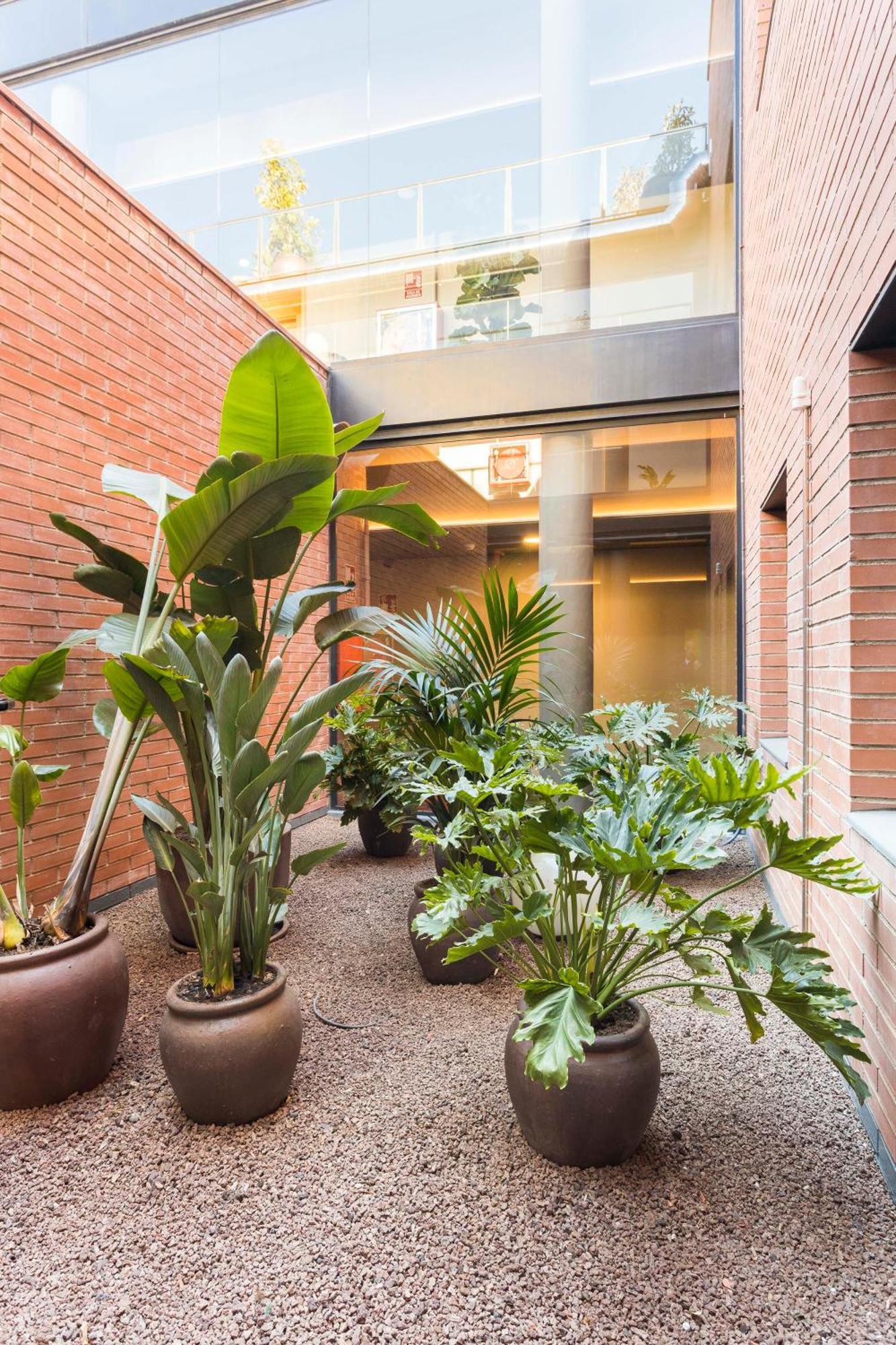 Hotel Terrassa Confort Eksteriør billede